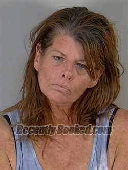 Recent Booking Mugshot For SHARON ADELE STRICKER In Lake County Florida