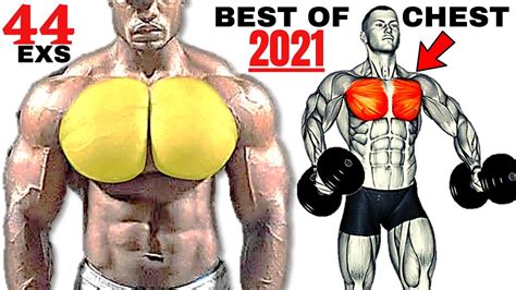 44 BEST INNER LOWER AND UPPER CHEST WORKOUT AT GYM Meilleurs Exs