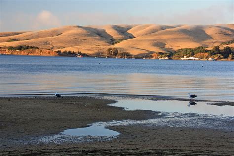 Tomales Bay Retreat In Tomales Bay California