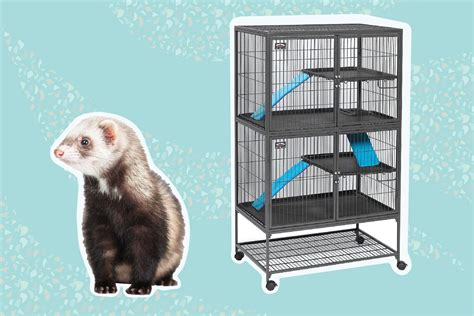 The 6 Best Ferret Cages of 2022