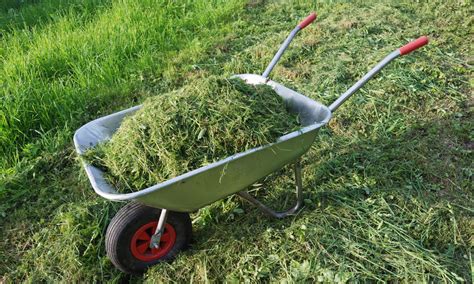 Grasscycling - Recycling Grass Clippings to Improve Lawn