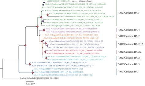 First Imported Case Of Sars Cov 2 Omicron Subvariant Ba 5 — Shanghai Municipality China May 13