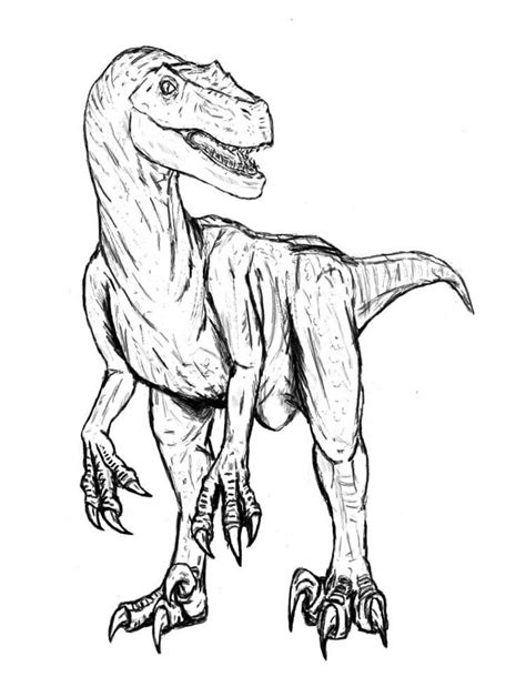 Desenhos De Velociraptor Perigoso Para Colorir E Imprimir