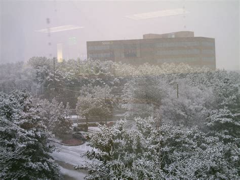 Peak days will be predicted earlier for atlanta allergies 20