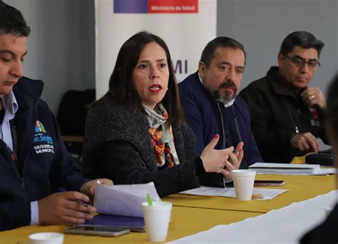 Seremi De Salud Inicia Fumigaciones En Los Andes Para Eliminar Y