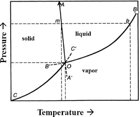 A Pressure Temperature Equilibrium Phase Diagram Of A One Component