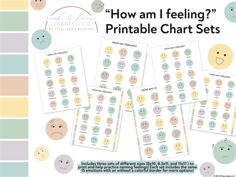 How Am I Feeling Chart, Emotions, Self-regulation, Big Feelings, Printable - Etsy