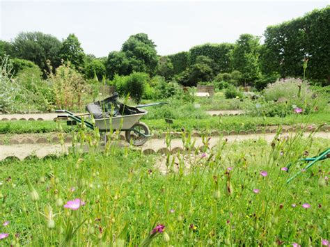 Comment renforcer la biodiversité en ville