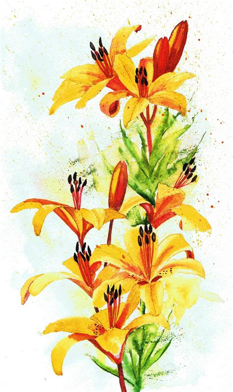 Orange Lilies Watercolor Painting by Julie Horner