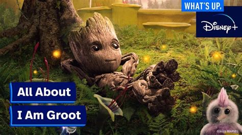 Marvel Studios I Am Groot Whats Up Disney Whats On Disney Plus