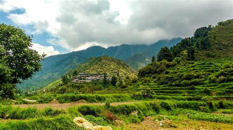 Barot Valley, Himachal Pradesh | Trek, Hotels & Things To Do