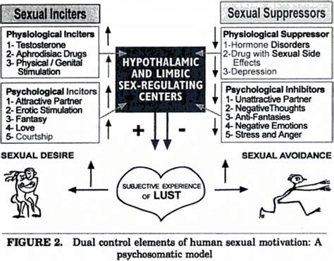 Kaplans Illustration Of The Psychosomatic Dual Control Model Of Sexual Download Scientific