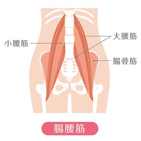 腸腰筋のストレッチで腰痛改善！自宅で簡単にできる5つの方法 ｜ からだにいいこと