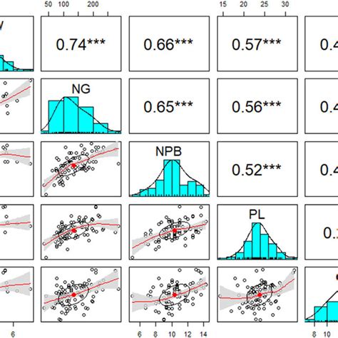 Variation And Distribution Pattern Of Association Panel For Panicle