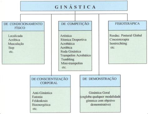 Mapas Mentais Sobre SEDENTARISMO Study Maps