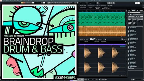 Zenhiser Braindrop Drumnbass Wav Mid Solosamples