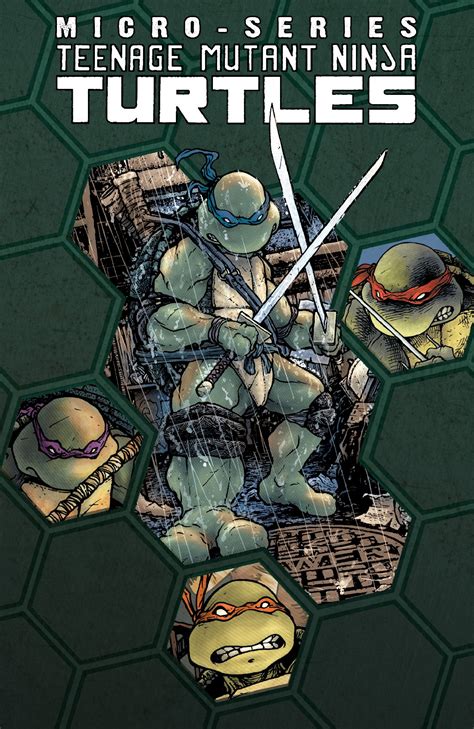 一番の マンスリーセール アメコミ Teenage Mutant Ninja Turtles 2014 Annual Deluxe