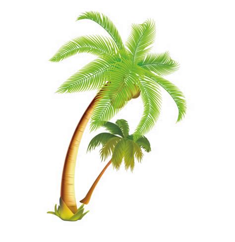 Coconut Tree Png Download Image