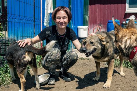 Dog at the Shelter. Animal Shelter Volunteer Takes Care of Dogs Stock Image - Image of choose ...