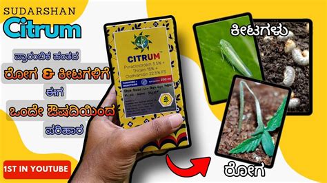 Sudarshan CITRUM Product 2 Fungicides 1 Insecticide In A Single