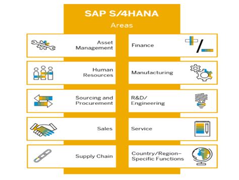 The SAP S 4HANA System And Digital Transformation