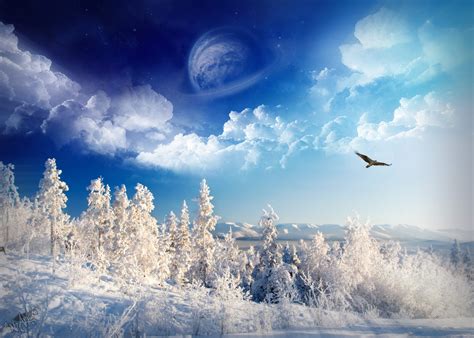 peartreedesigns: Sweden Winter Nature Scene Pictures Gallary Wallpapers