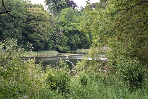 Le Jardin Botanique Jean Massart Fête Son Centenaire Nouvelles De Jardins