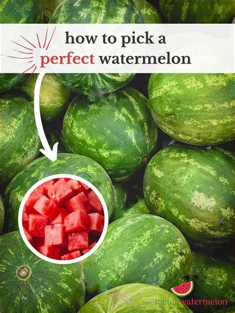 How To Determine The Ripeness Of A Watermelon Insights And Strategies From Experts [updated