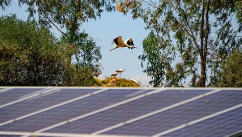 Unef Desmiente Los Diez Principales Mitos Sobre La Energía Solar