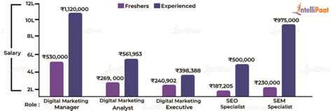 Digital Marketing Salary In 2025 For Freshers And Experienced