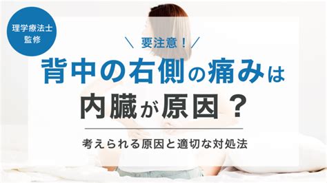 背中の右側の痛みは内臓が原因！？考えられる原因と適切な対処法 株式会社リハサク