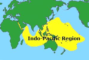 PM Modi proposed "Indo-Pacific Oceans Initiative"