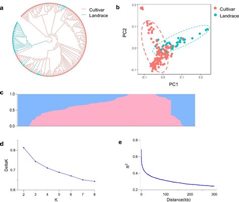 Genetic Diversity And Population Structure Analysis Of 199 Soybean