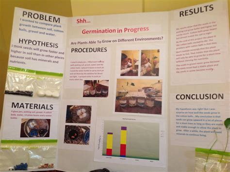 Science Fair Project Science Fair Projects Science Fair Hypothesis