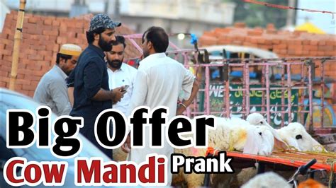 Big Offer In Cow Mandi Prank Eid Special Prank In Bakra Mandi