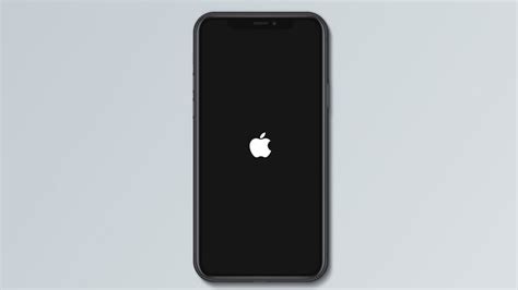 iPhone hängt beim Apple Logo Daran liegt s Handyarzt