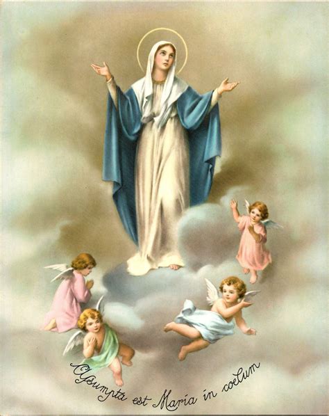 Immaculate Conception Novena Digital Download Catholic Print 8 X 10 - Etsy