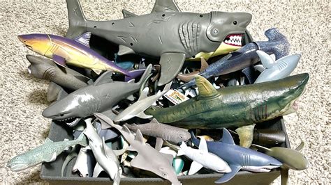 My Sharks Collection Thresher Shark Mako Shark Basking Shark