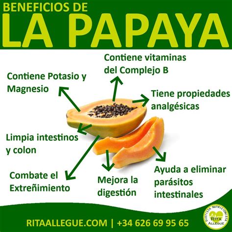 LA PAPAYA en 2020 Beneficios de la papaya Alimentacion Nutrición