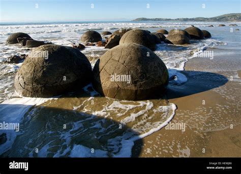 He Moeraki Boulders Are Unusually Large And Spherical Boulders Lying