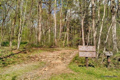 Visit Clingmans Dome On The Appalachian Trail