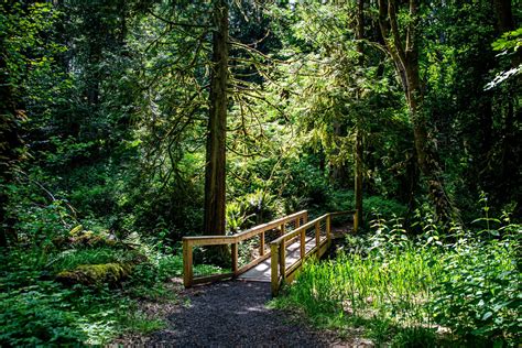 Thurston County State Parks: Tolmie State Park - ThurstonTalk