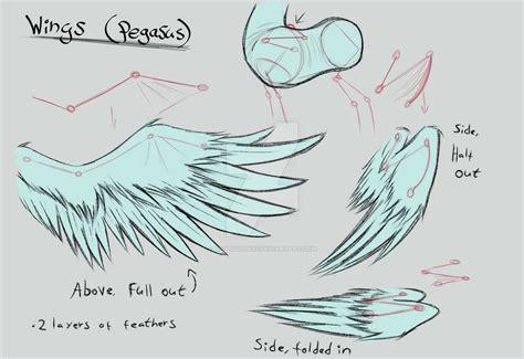 MLP:FiM | Wings reference sheet [Pegasus] by LividCreativity on DeviantArt