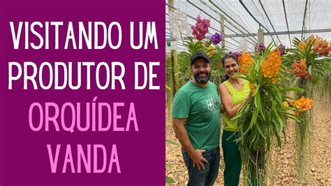 ORQUÍDEAS Conheci uma produção de ORQUÍDEAS VANDA e dei várias dicas