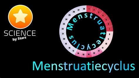 Menstruatiecyclus Menstruele Cyclus Youtube