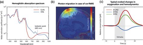 Measuring Brain Activity Using Functional Near Infrared Spectroscopy A