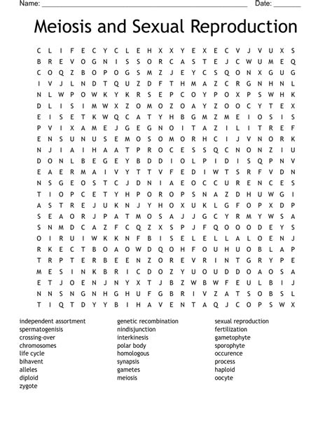 Meiosis And Sexual Reproduction Word Search Wordmint