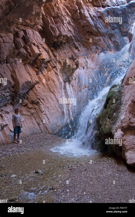 Waterfall In Cavern Near Colorado River Grand Canyon Arizona United