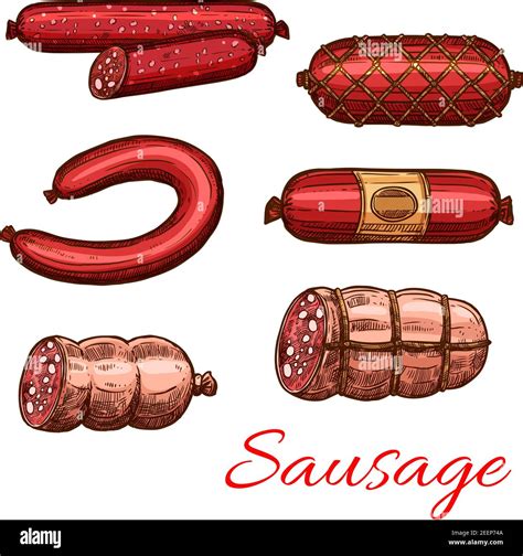 Sausage Sketch Set Of Beef And Pork Meat Product Salami Barbecue