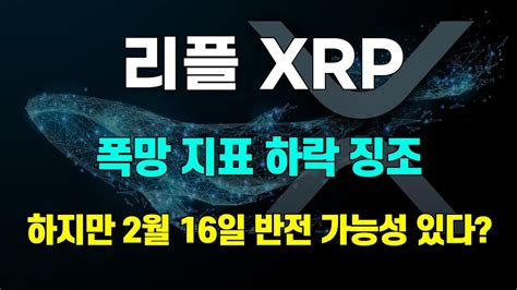 리플 Xrp 폭망 지표 하락 징조 하지만 2월 16일 반전 가능성 있다 Youtube